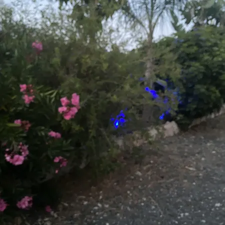 Nissi49 * איה נאפה