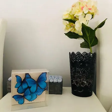 Nissi49 Apartmán Ayia Napa